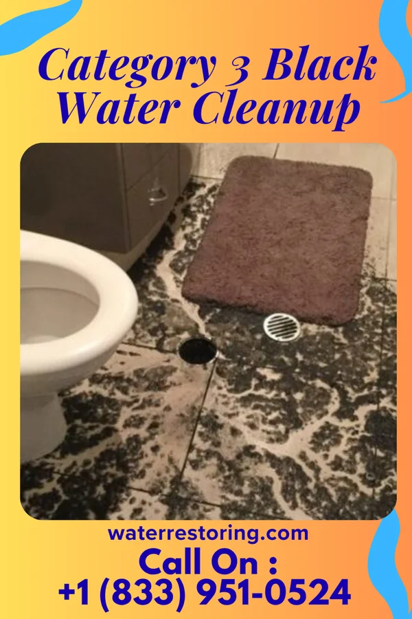 Category 3 Black Water Cleanup in Smithfield, KY