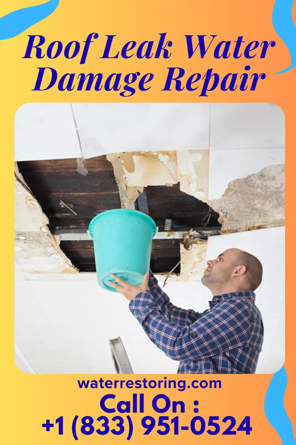 Roof Leak Water Damage Repair in Smithfield, KY