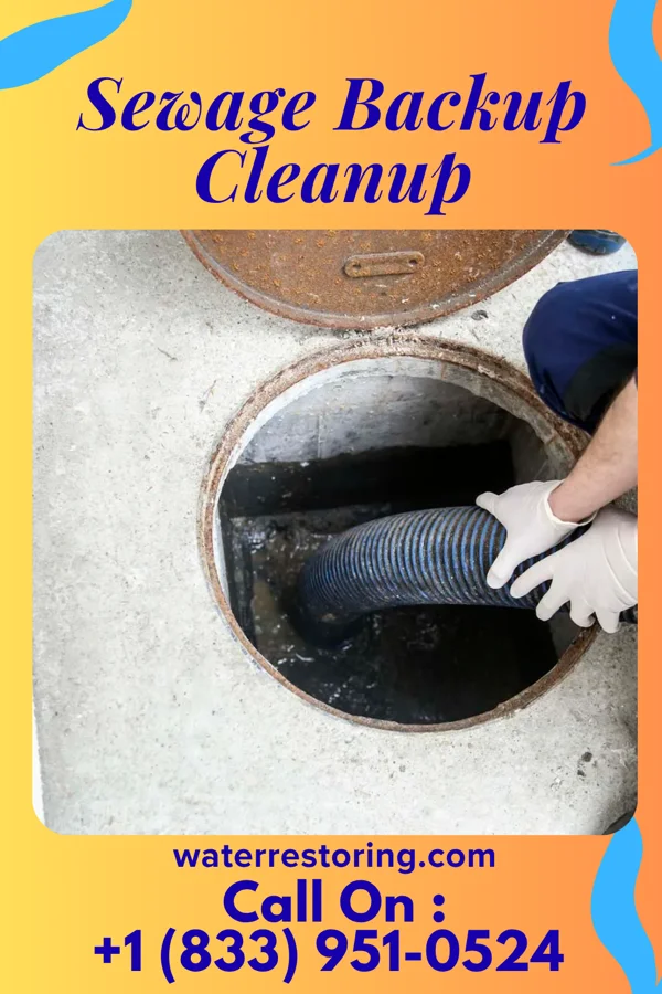 Sewage Backup Cleanup in Smithfield, KY